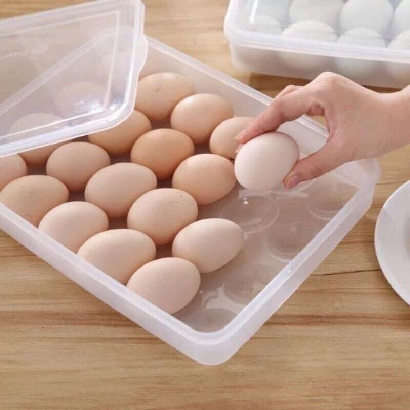 Hộp đựng trứng Việt Nhật 24 quả