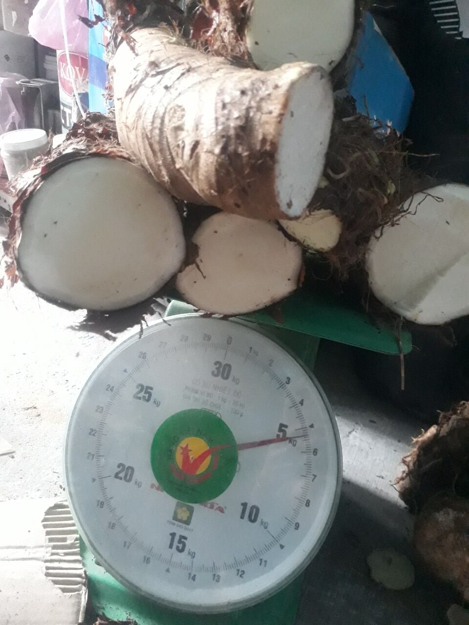 5kg củ bạc hà núi, củ tươi mới đào, cây tự nhiên lâu năm, siêu chất lượng
