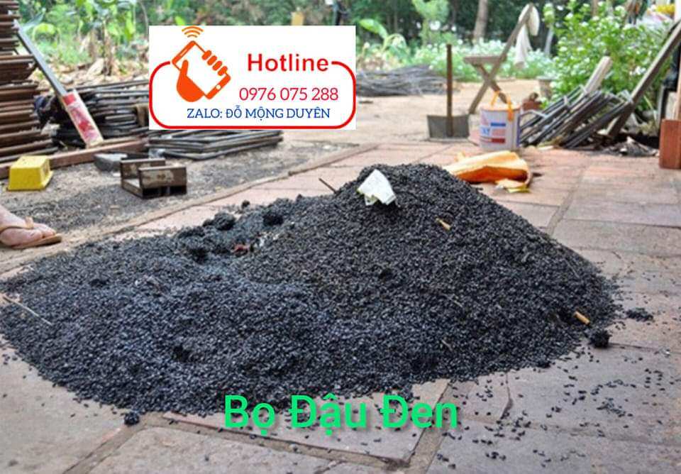 Thuốc diệt Bọ Đậu Đen hiệu quả sau 1 lần phun