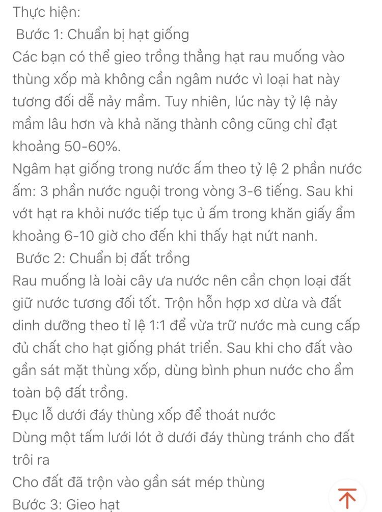 Hạt giống rau muống lá tre
