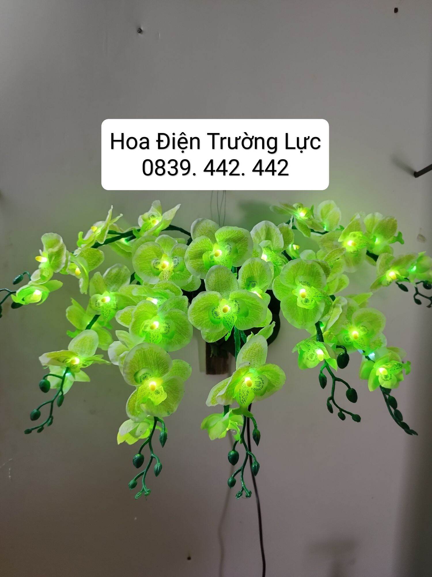 Hoa Lan Treo Tường - Hoa Trang Trí Có Đèn