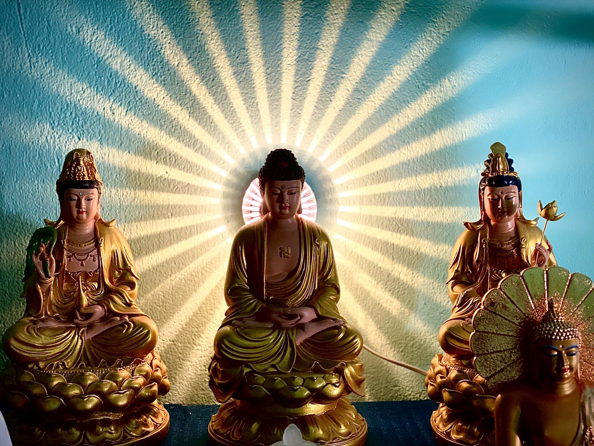 Đèn hào quang kim sắc(ánh sáng vàng nhạt ánh kim)[Biên Hoà]