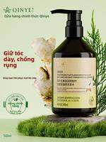 QINYE | Dầu Gội Ngừa Rụng Tóc và Bổ Sung Sức Mạnh Ginger và Side柏叶