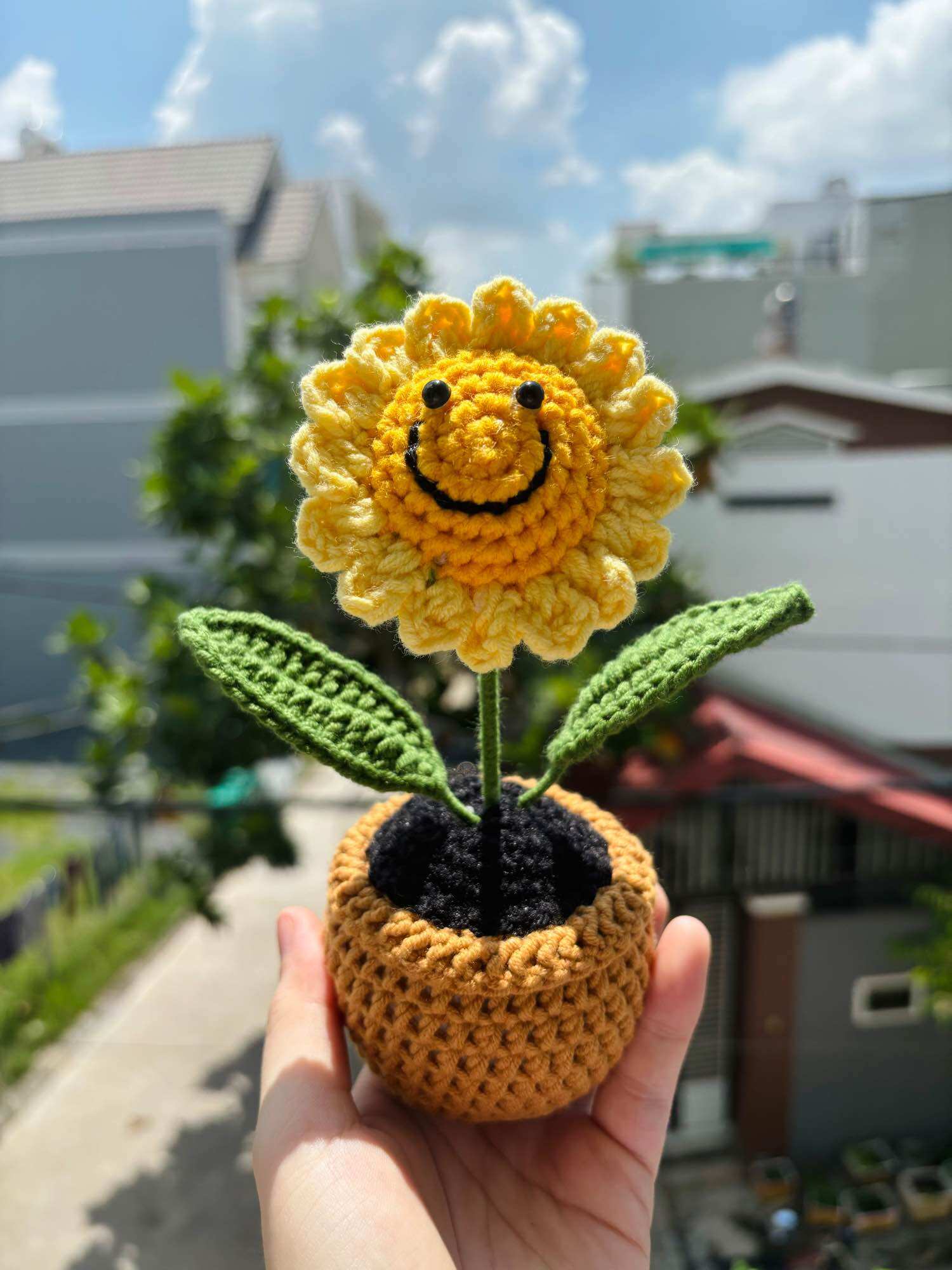 Chậu hoa hướng dương mặt cười