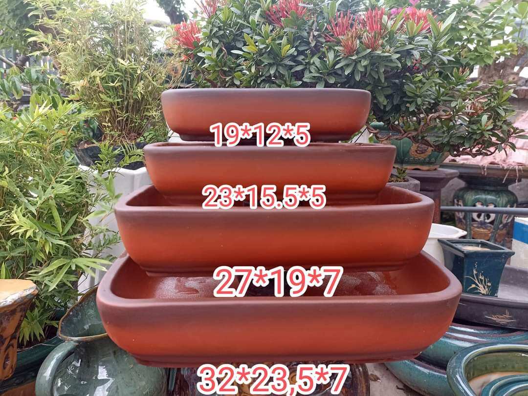Bộ 4 chậu chữ nhật cao cấp dáng cổ