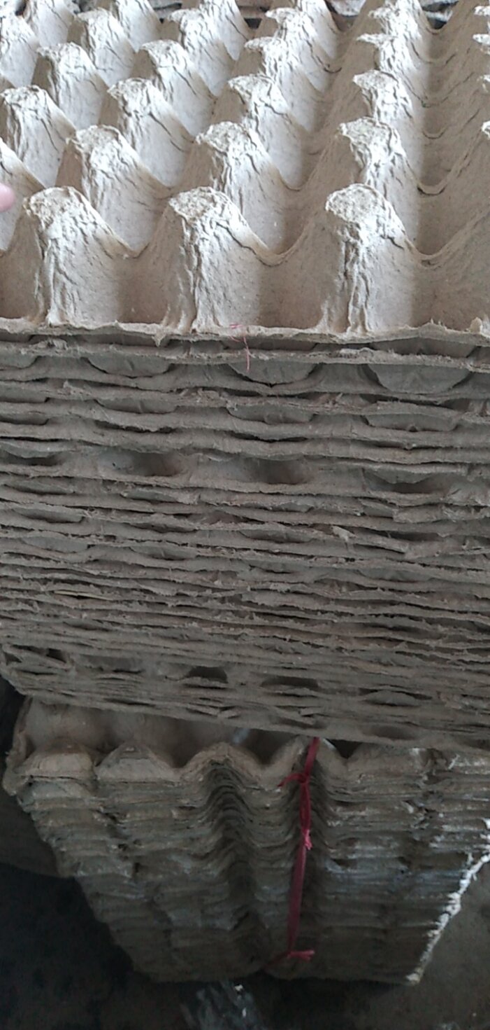 100 vĩ giấy đựng trứng gà đã qua 1 lần đựng trứng