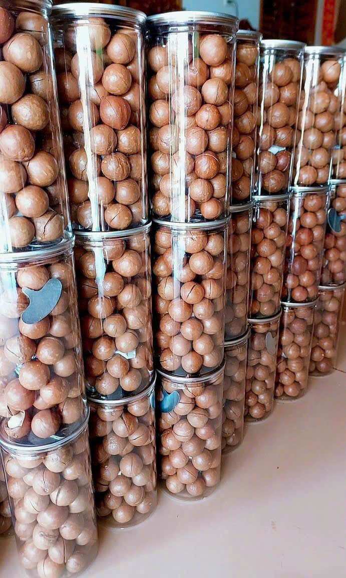 Macca Đaklak Sấy Nứt vỏ 500gr- Giòn- béo