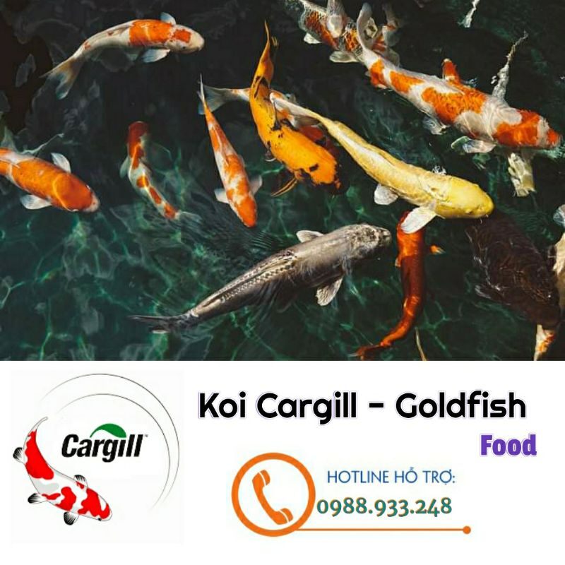 [Sỉ] 10kg Cargill 7924S dành cá Chép▪︎ cá Koi