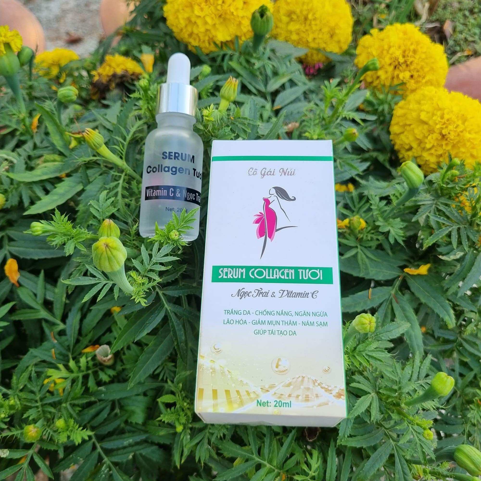 Serum Collagen Tươi Cô Gái Núi