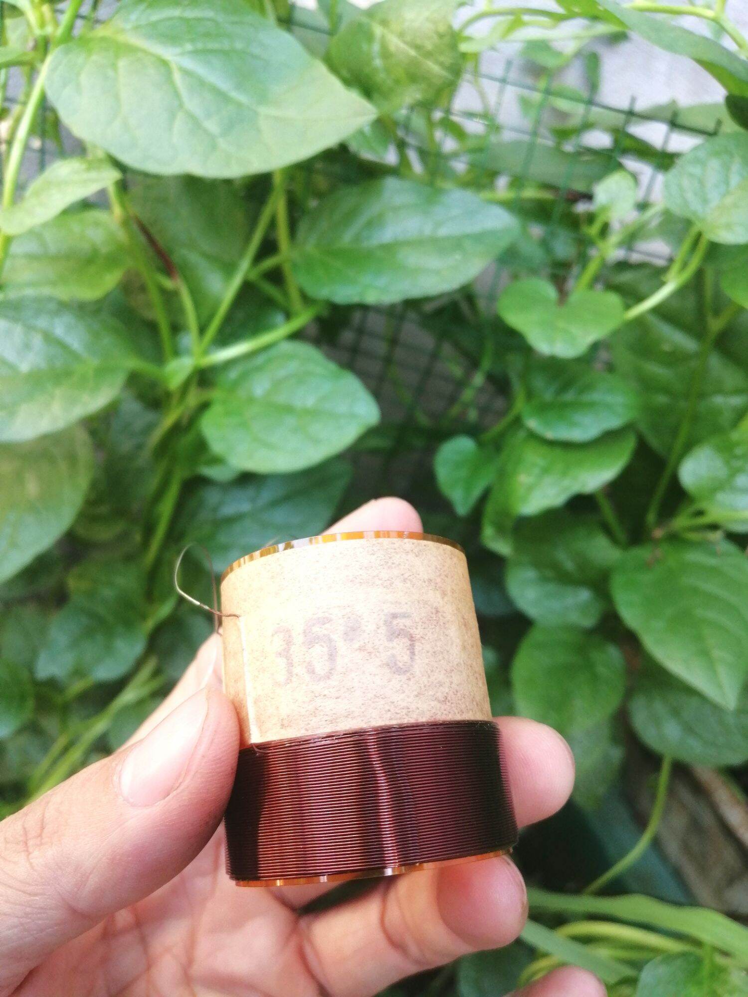 5 cái Côn 35.5-2 lớp