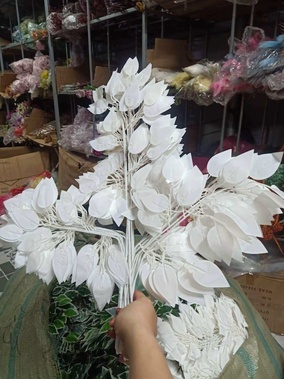 1 bó ( 12 cành) Lá Si trang trí tuyệt đẹp