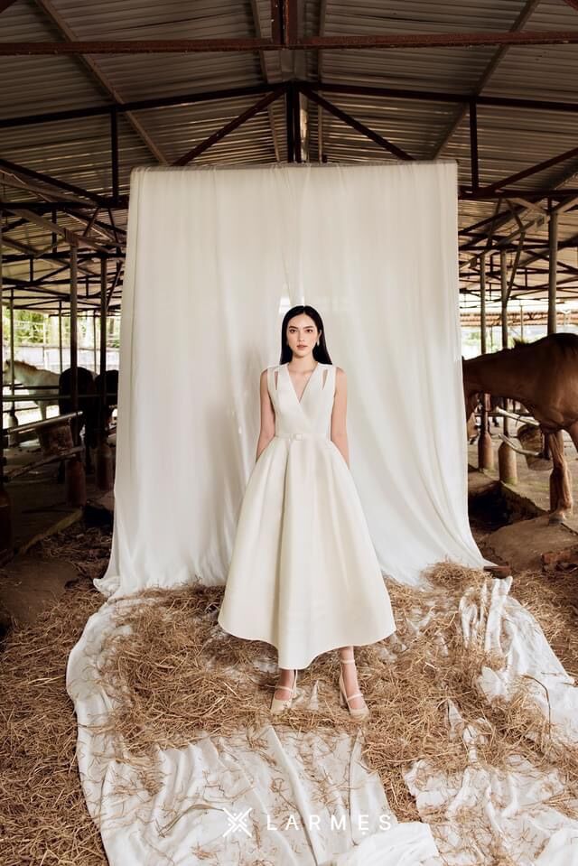 LARMES - Đầm xoè cutt-out vai Taylor