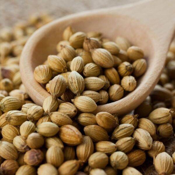 500gr Hạt Ngò ( Hạt mùi) Tây Bắc Loại 1