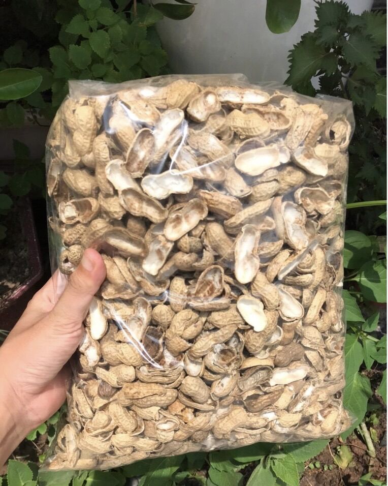 1 kg Vỏ Lạc giá thể trồng lan , trộn đất trồng cây