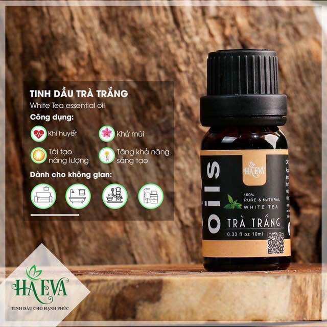 Tinh dầu Trà Trắng Haeva 10ml