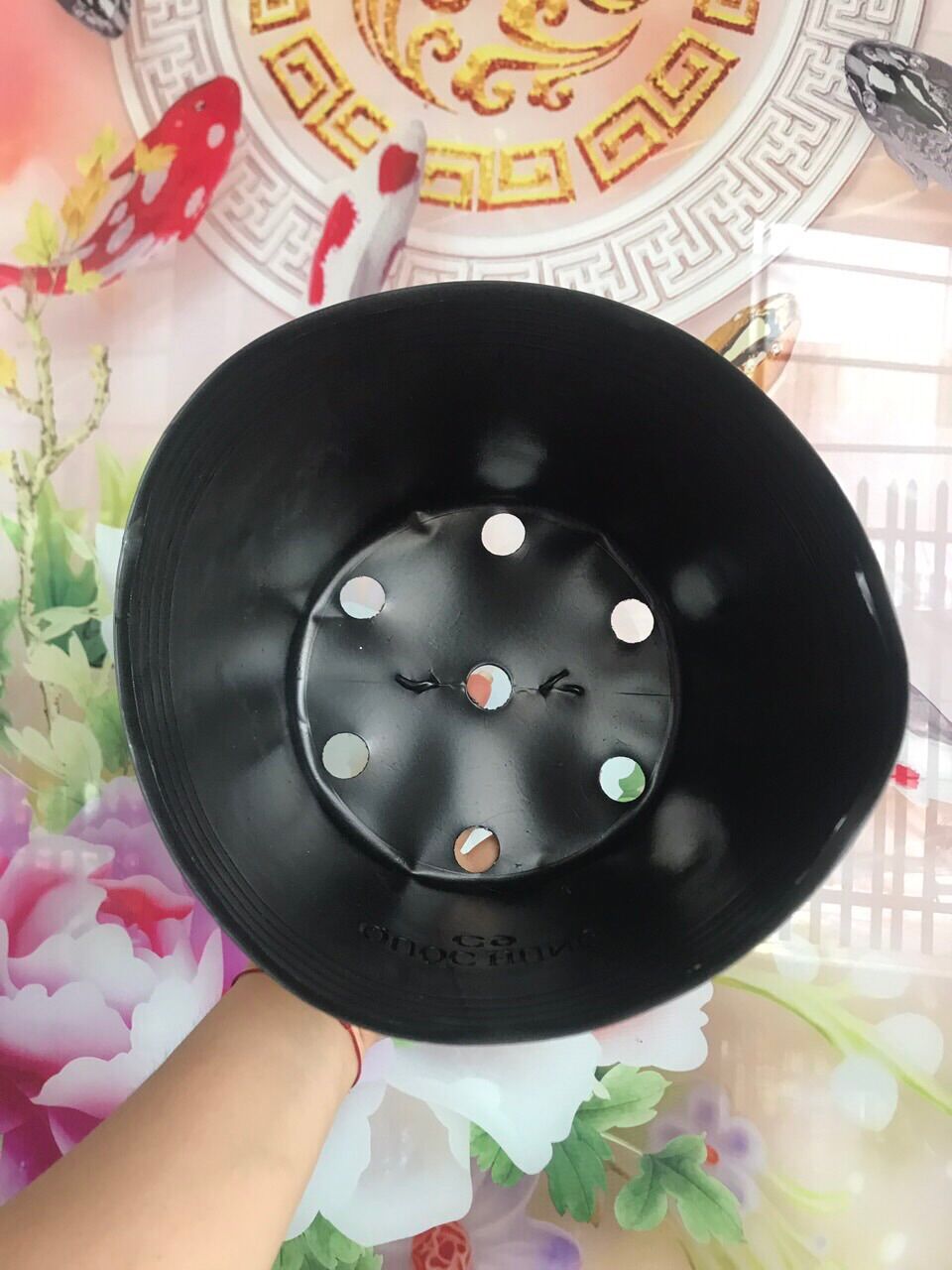 Combo 50 chậu C8 thương hiệu Quốc Hùng dầy dặn