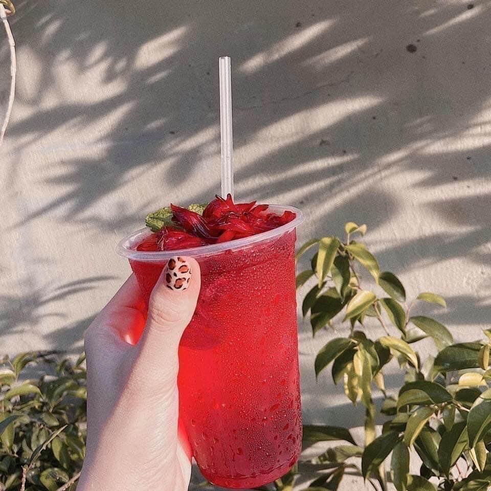 Siro bông atiso đỏ