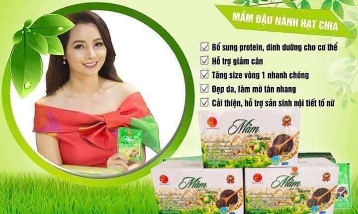 MẦM ĐẬU NÀNH HẠT CHIA TĂNG VÒNG 1