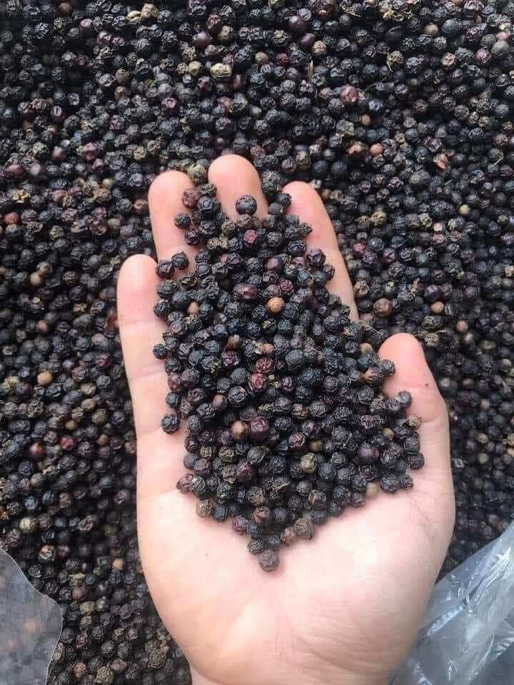 Hạt tiêu đen Đăk Lăk khô 100g