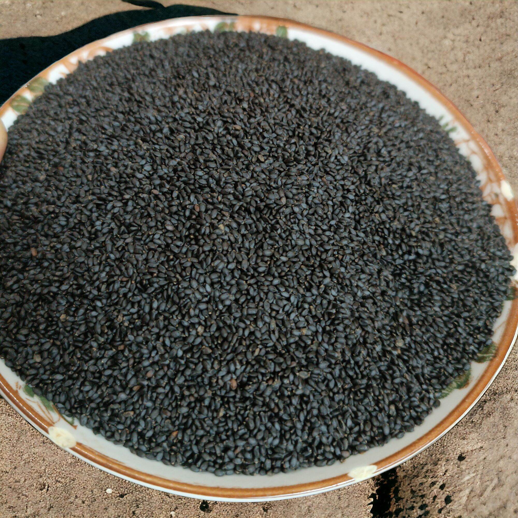 1KG Hạt é sạch Phan Rang