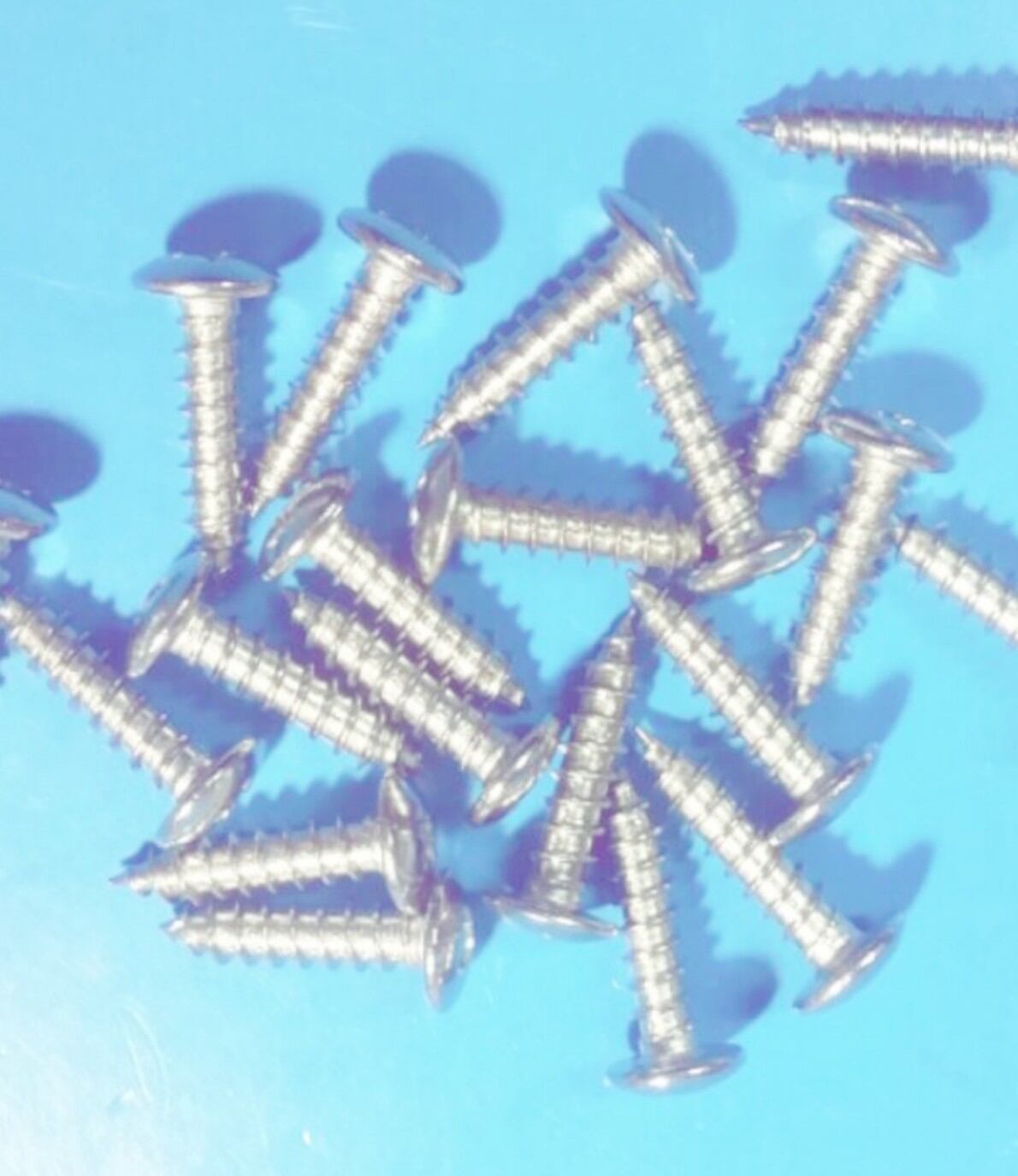 [HCM]VÍT DÙ XOẮN INOX 3LYx 2CMx100Gr