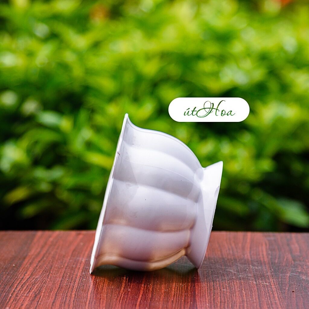 Chậu Để Bàn Trái Bí Trắng