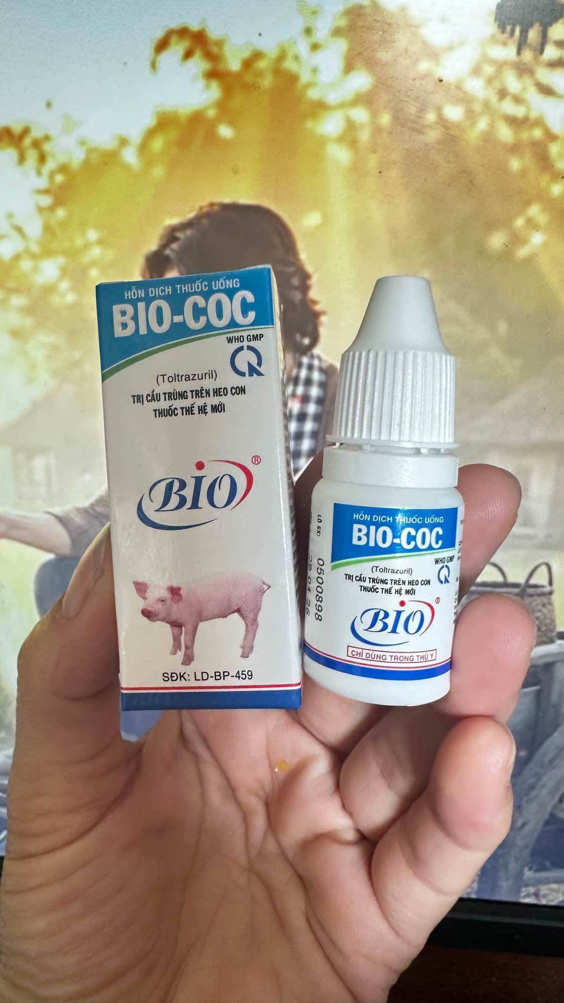Bio COC 10ml - cầu trùng heo con bê nghé