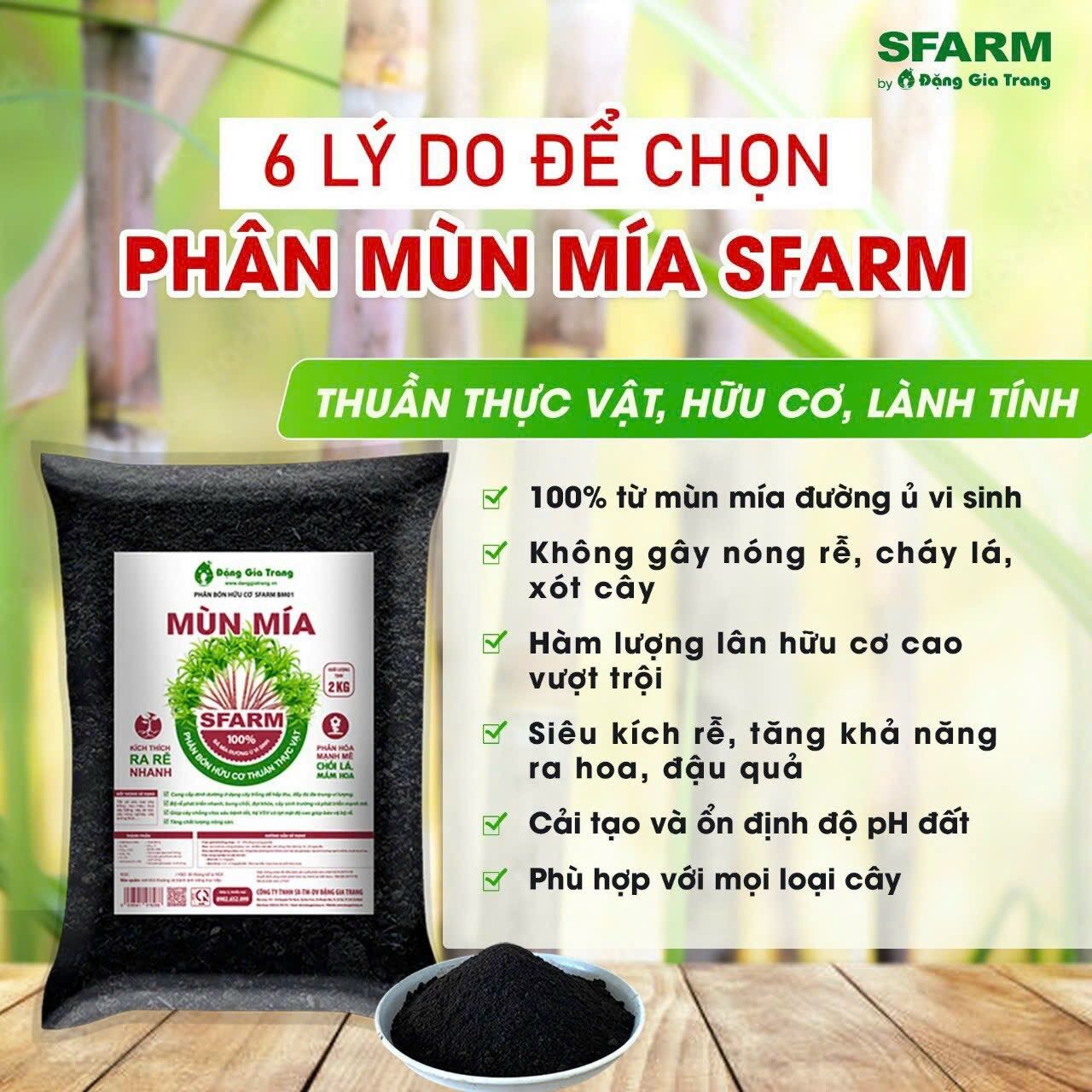 Phân mùn mía Sfarm 2kg