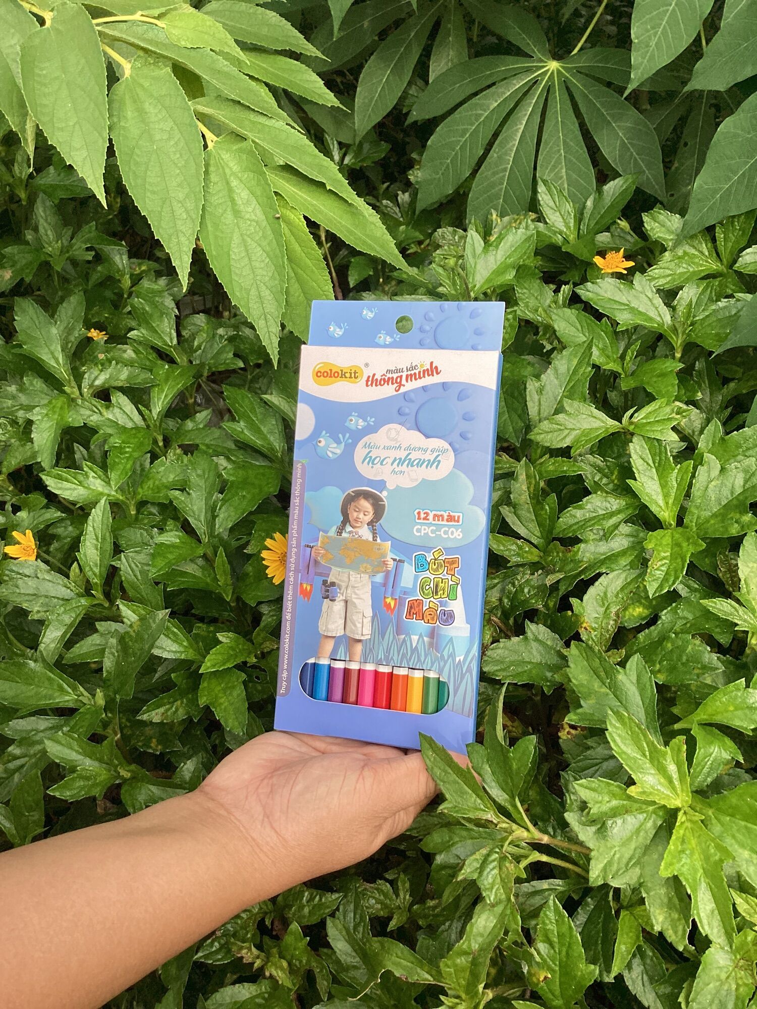 Bút chì màu gỗ colokit 12 màu cpc-c06
