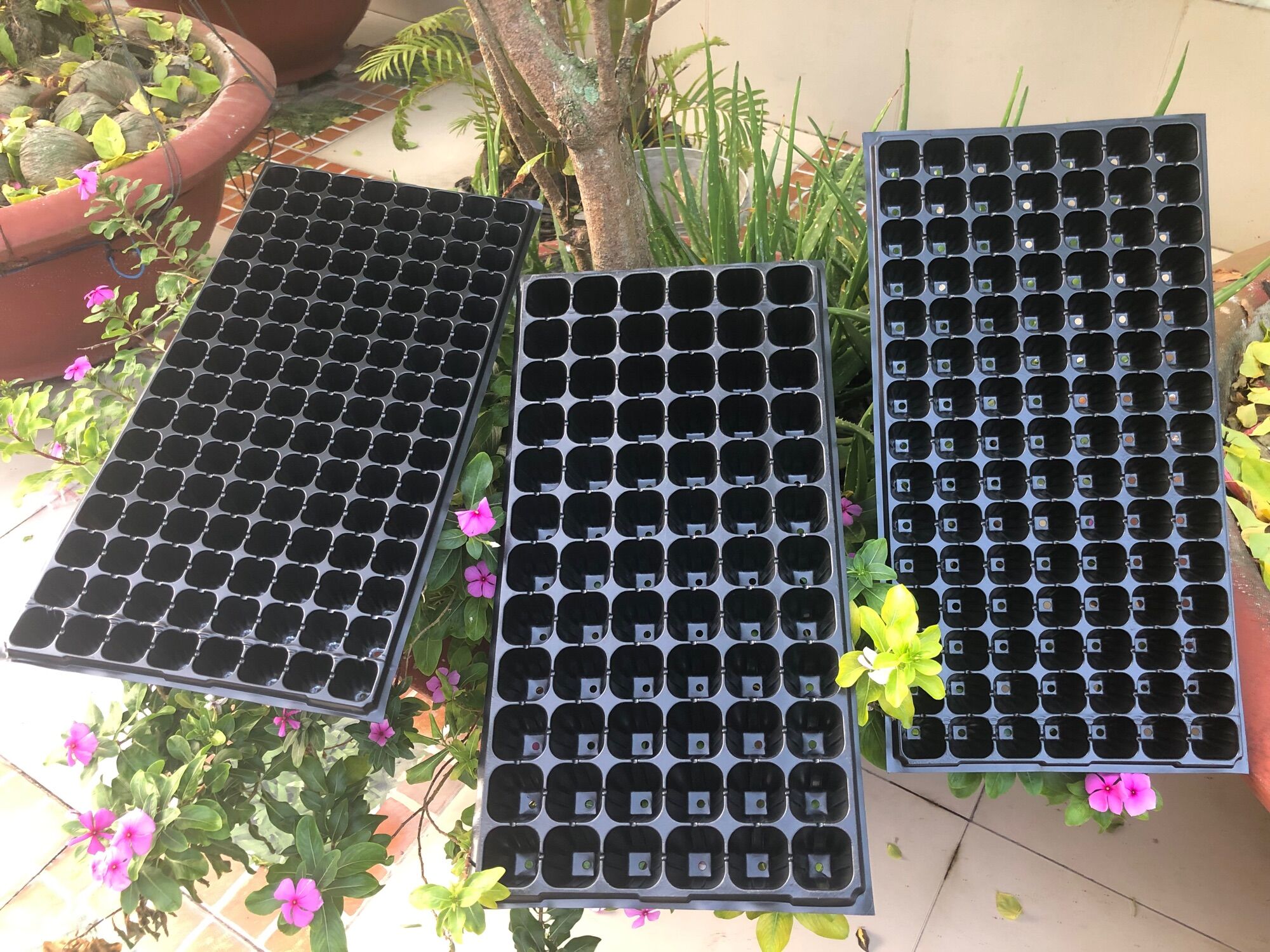Khay ươm hạt giống 72 lỗ ,105 lỗ ,128 lỗ