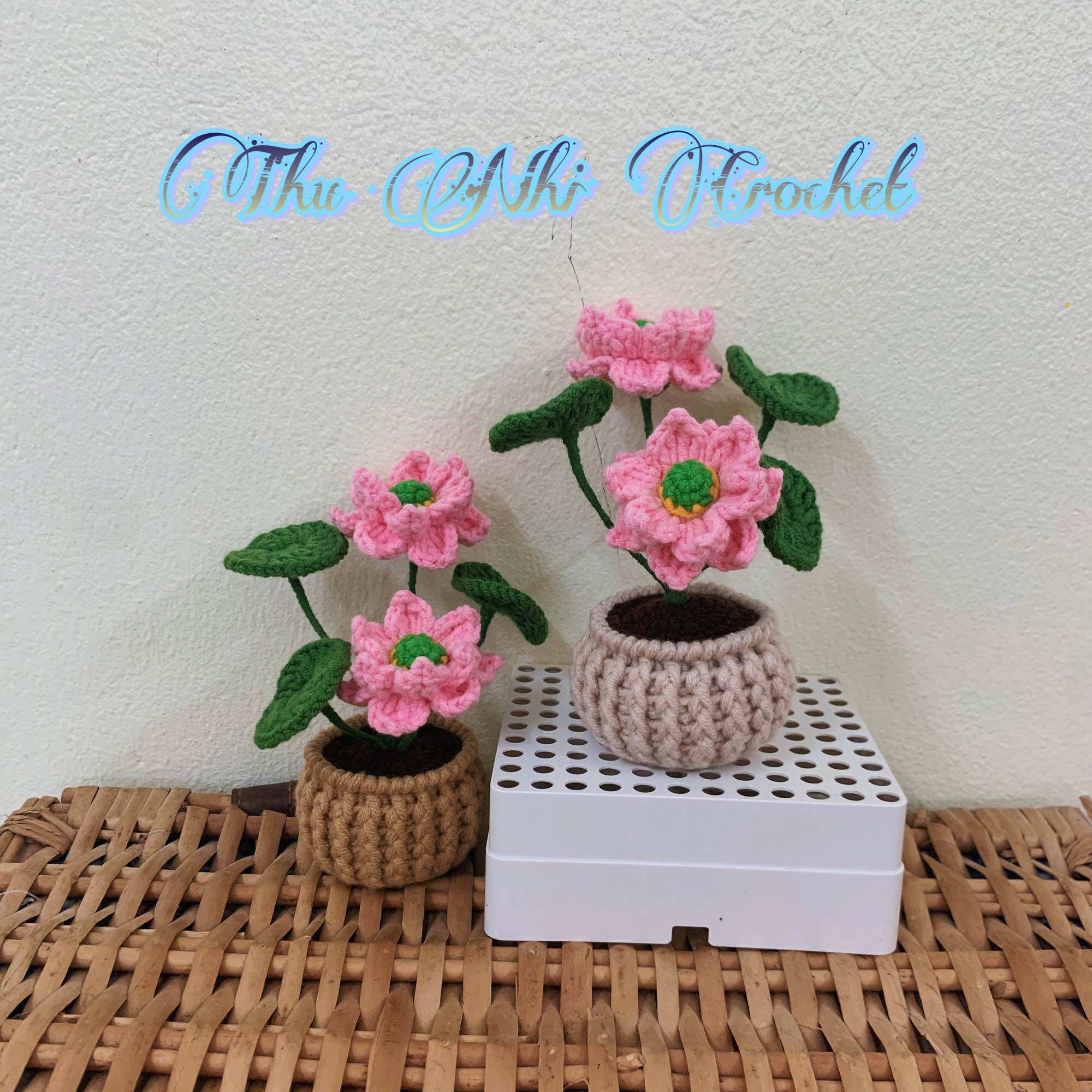 Chậu Hoa Sen mini bằng len handmade