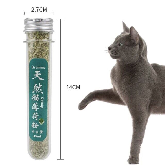 [HCM]Catnip/Catmin/ Cỏ bạc hà cho mèo