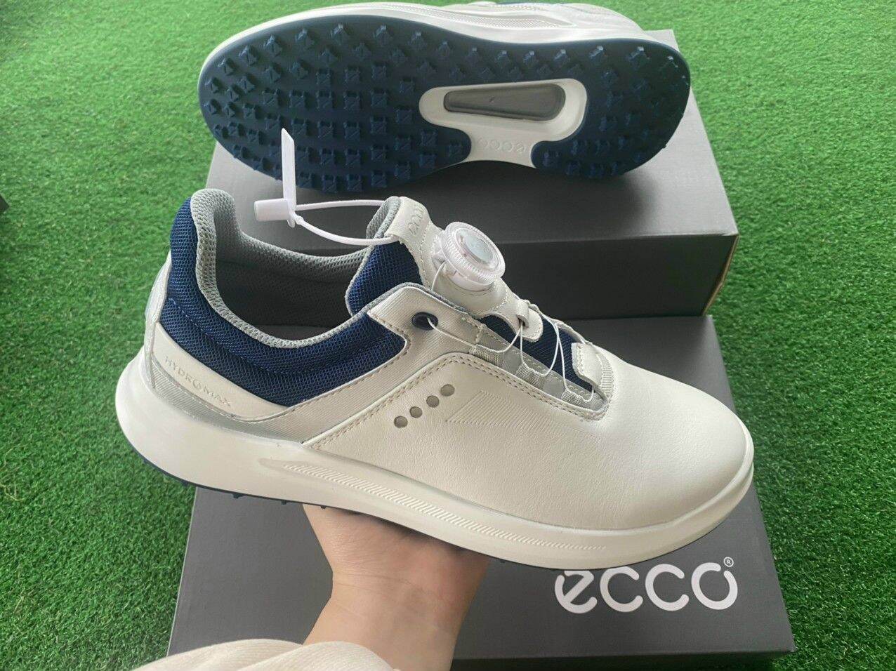 Giày Golf Ecco Núm Boa - Mẫu mới 2022