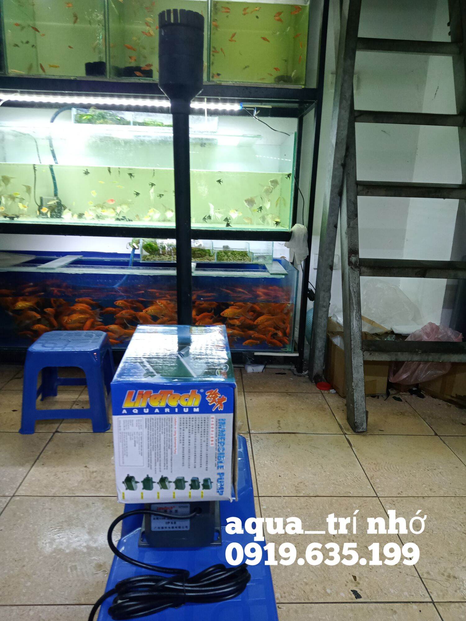 Combo bộ lifetech ap 5300 +bộ hút mặt xoay và hút đáy