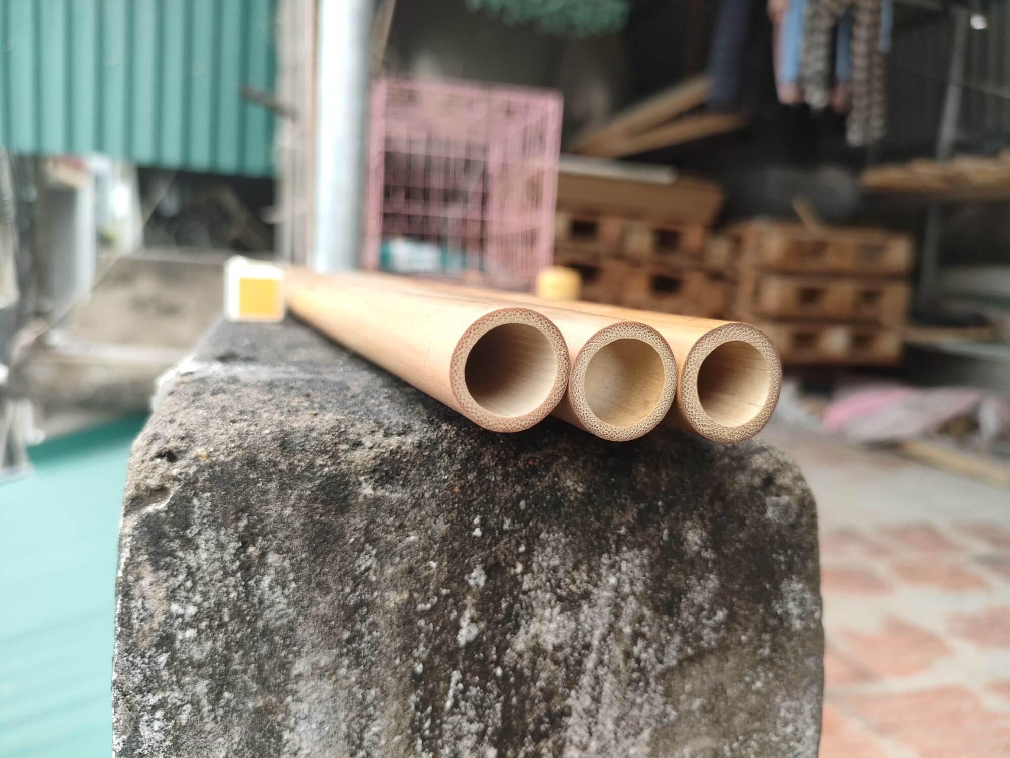 Sáo Trúc Đô C5 Nứa Bắc Chuẩn âm