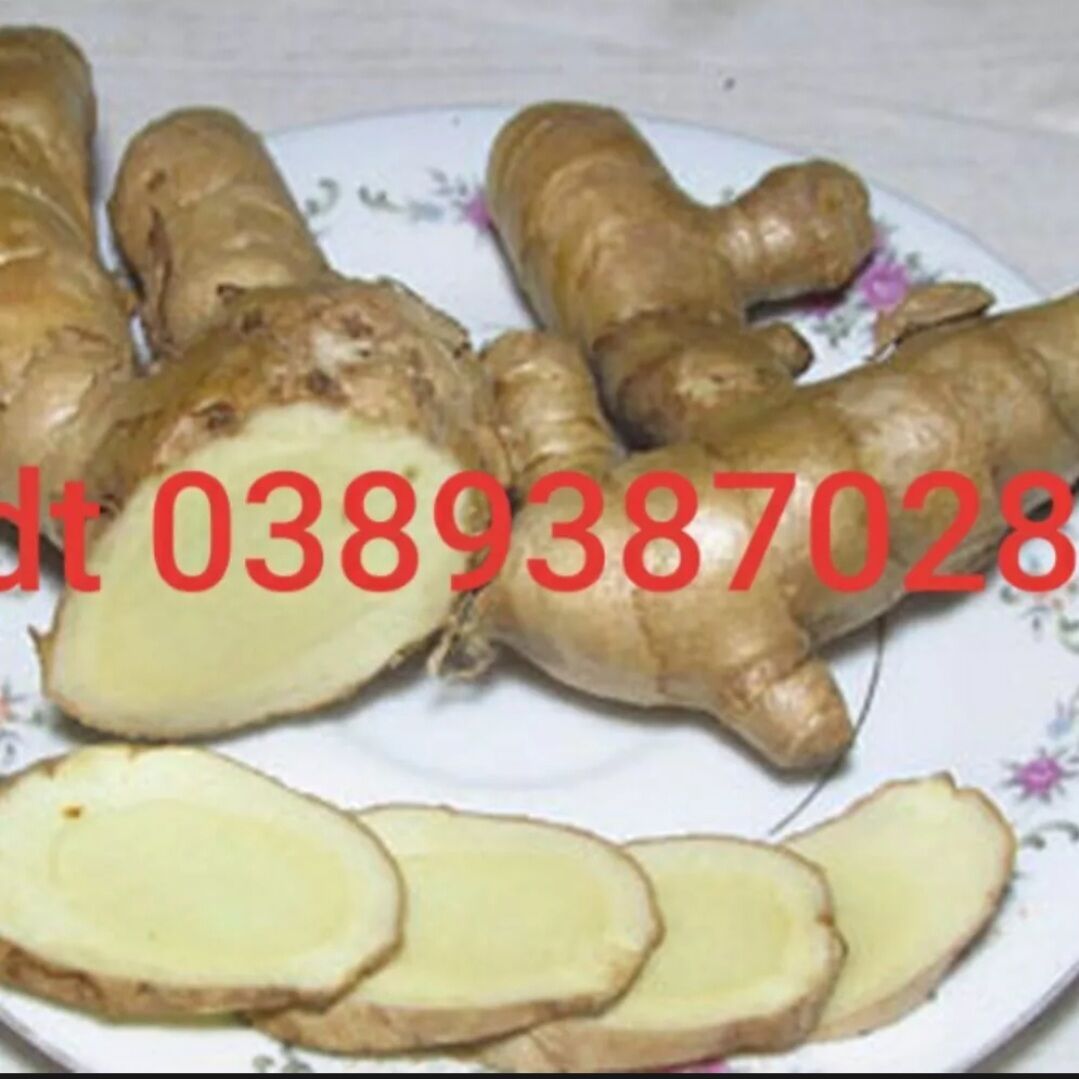 Nghệ trắng rừng,500g