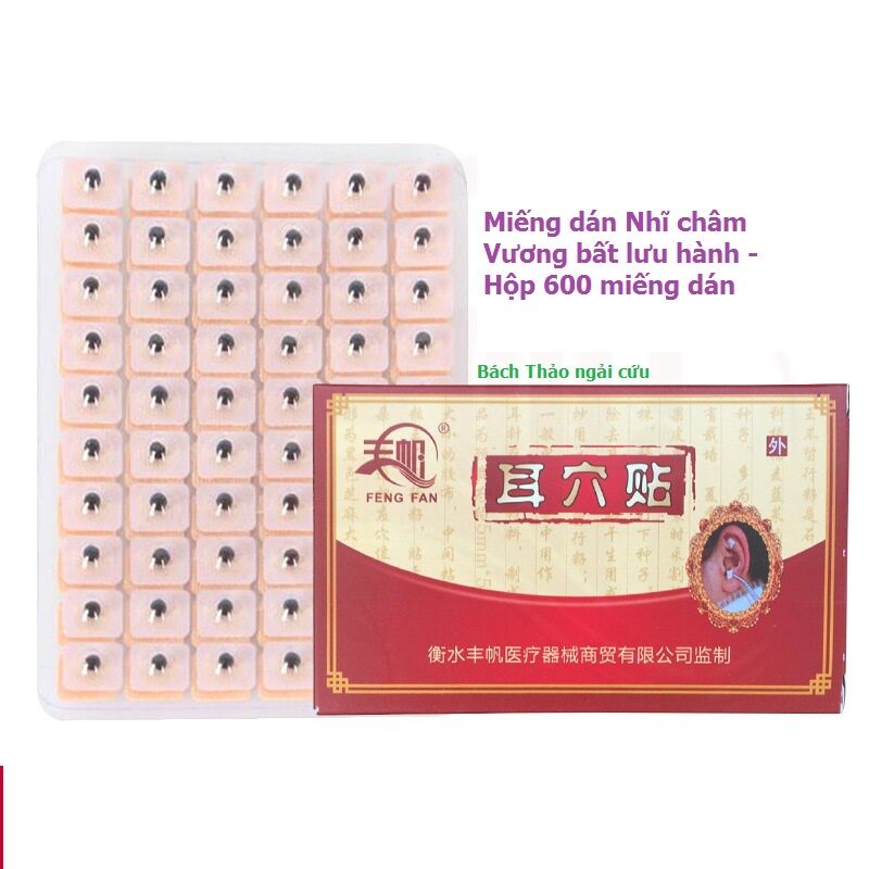 Miếng dán nhĩ châm vương bất lưu hành hộp 600 miếng