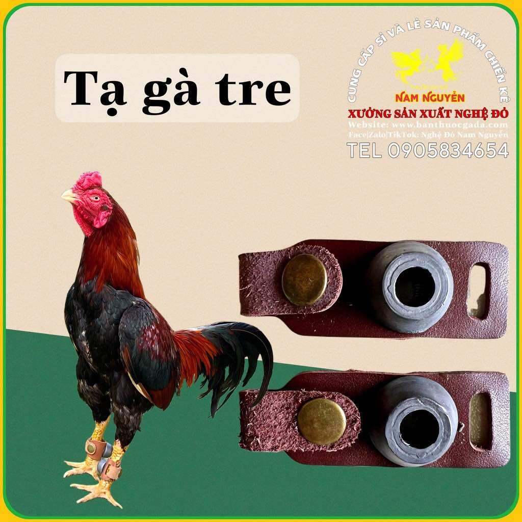 Tạ chì tập thể lực cho gà Tre/ Nòi