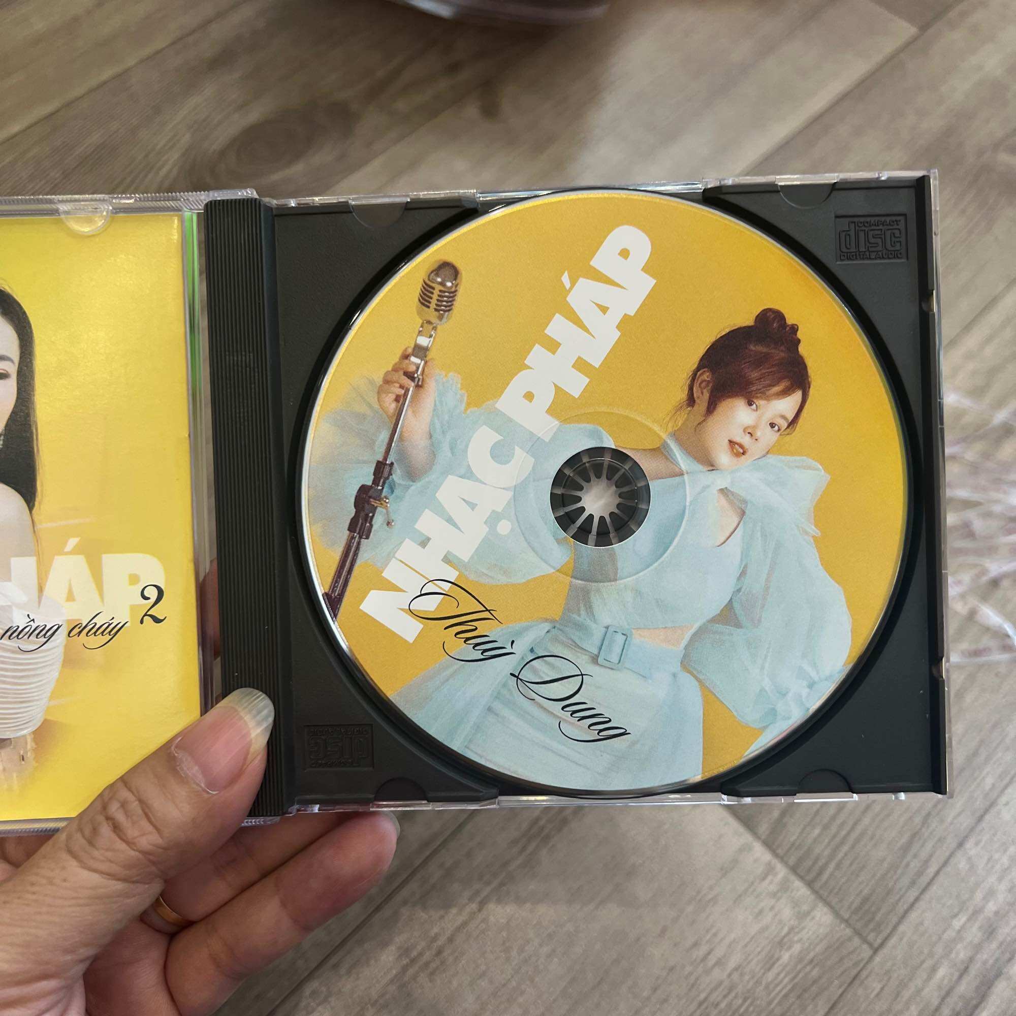 Đĩa CD Thuỳ Dung - nhạc Pháp - Tình nồng cháy 2