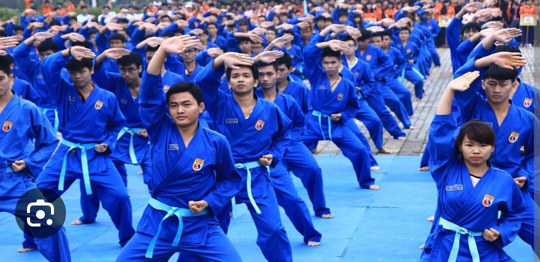 Đai Nhập Môn Vovinam