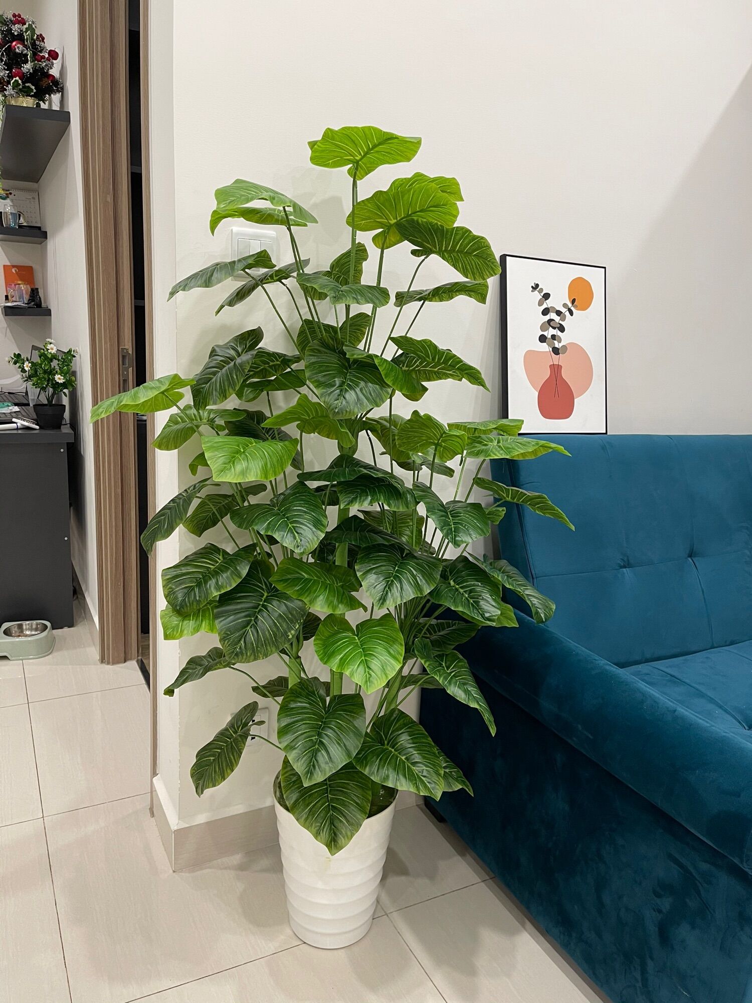 Cây trầu bà mẫu mới - cây trầu bà giả 1m5