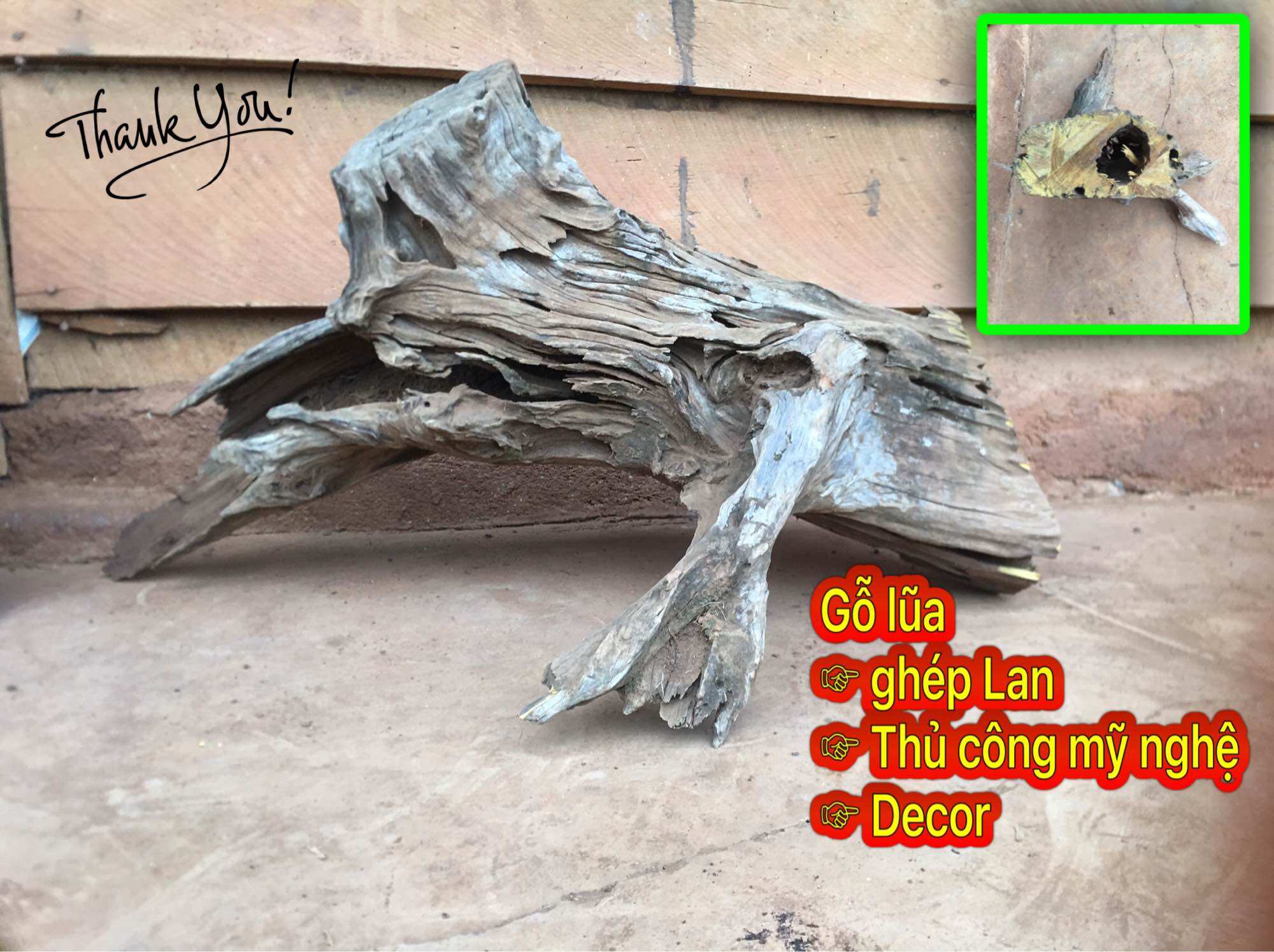 Lũa trang trí - Decor, Setup hồ cá, Làm đèn trang trí, thủ công mỹ nghệ, Vintage