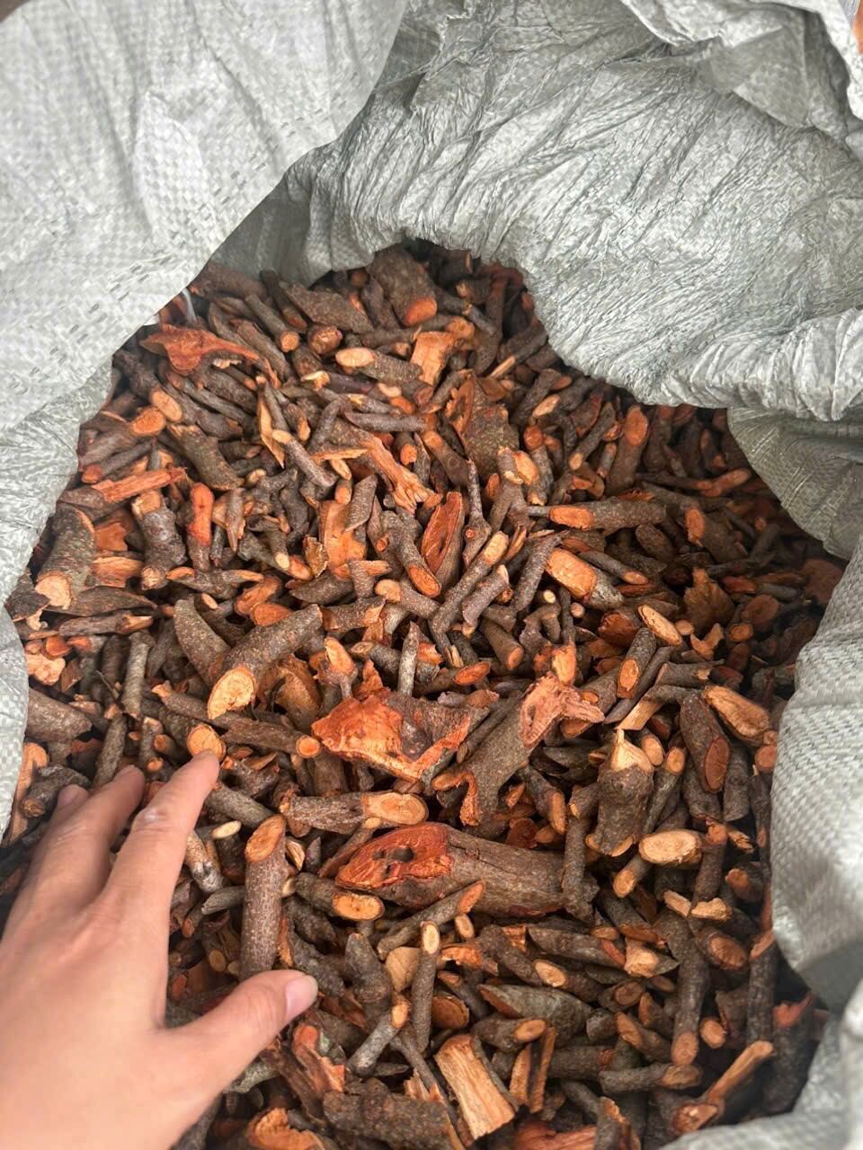 1kg cây tầm gửi gạo tía tây bắc