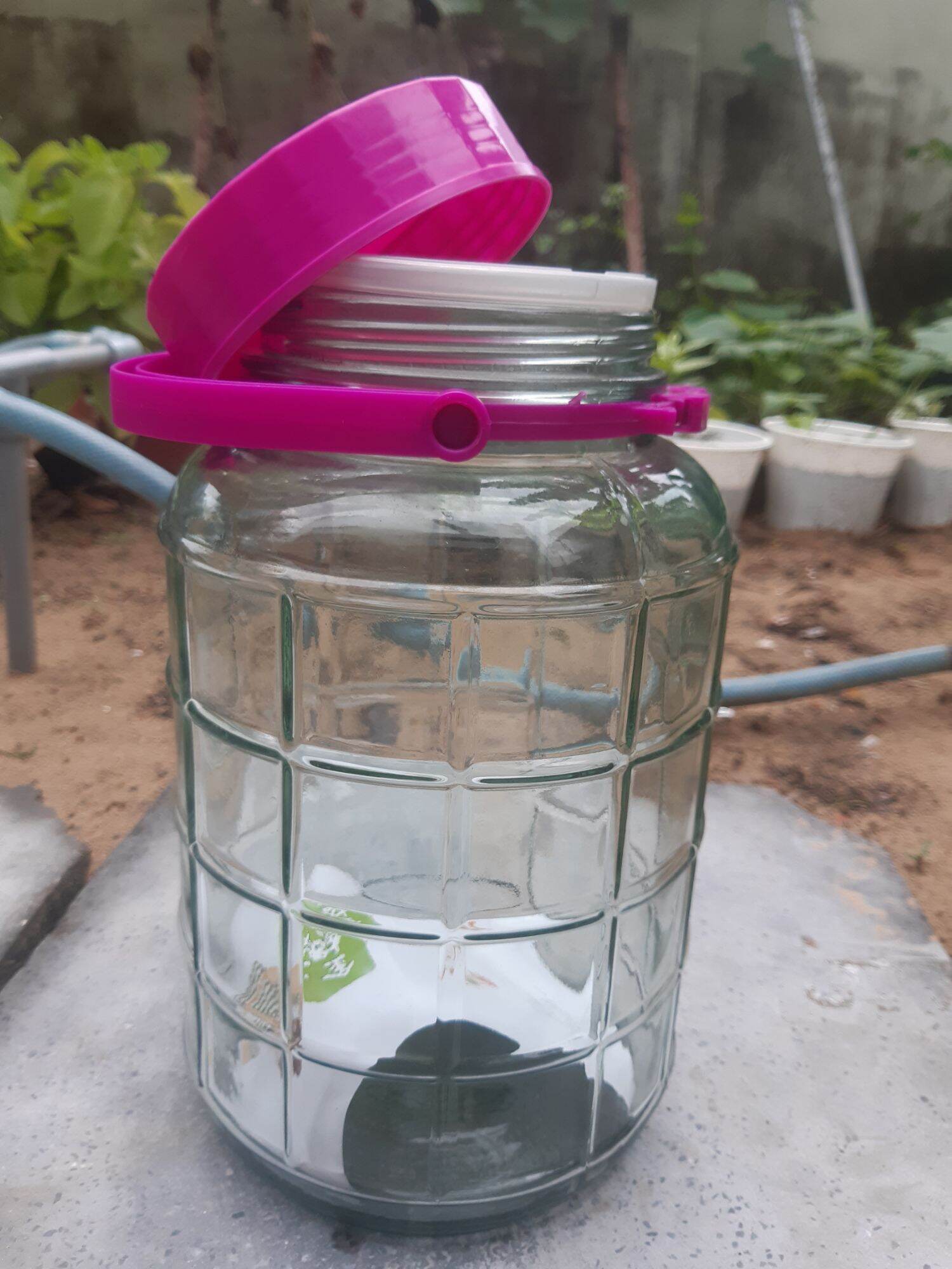 hủ thủy tinh 5L ( 120k)