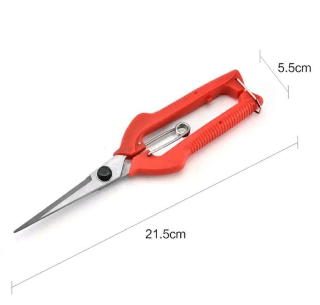 Kéo Cắt Tỉa Cành Cây Có Khoá Tiện Dụng - Mũi Nhọn Lưỡi Dài Cán Đỏ