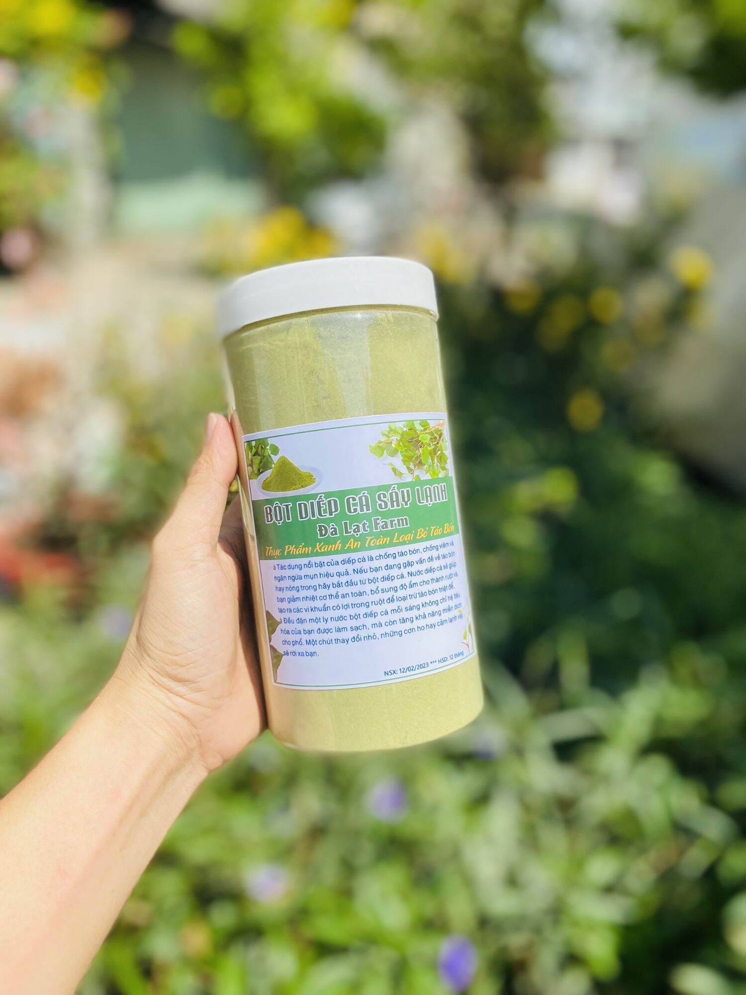 Bột diếp cá sấy lạnh hũ 500 gram
