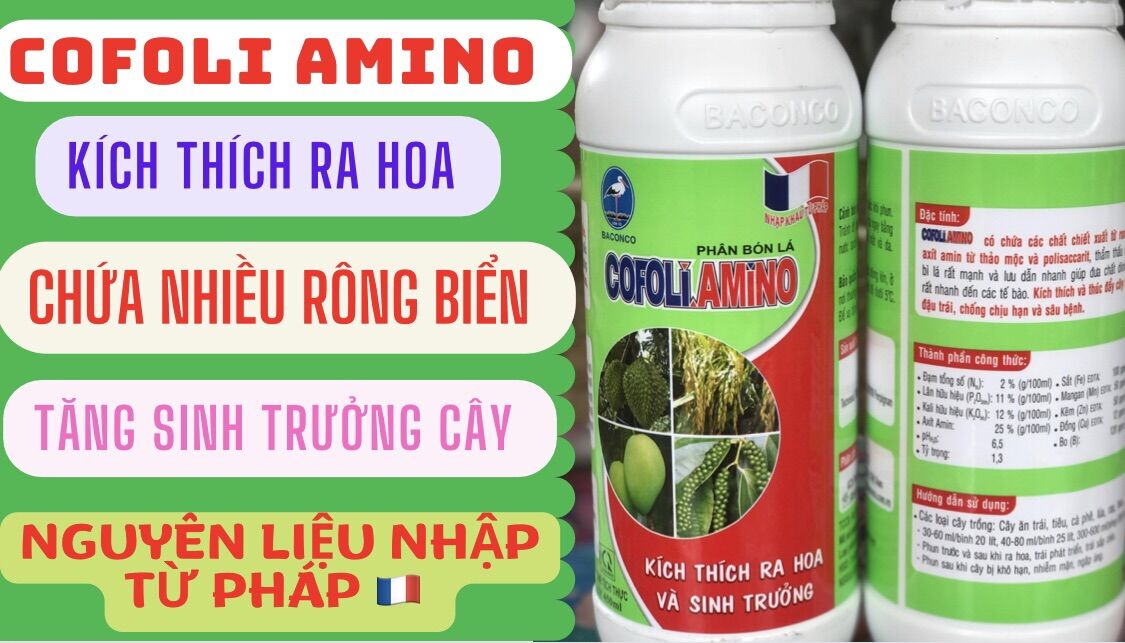 Phân bón lá Cofilo Amino | Cty Baconco