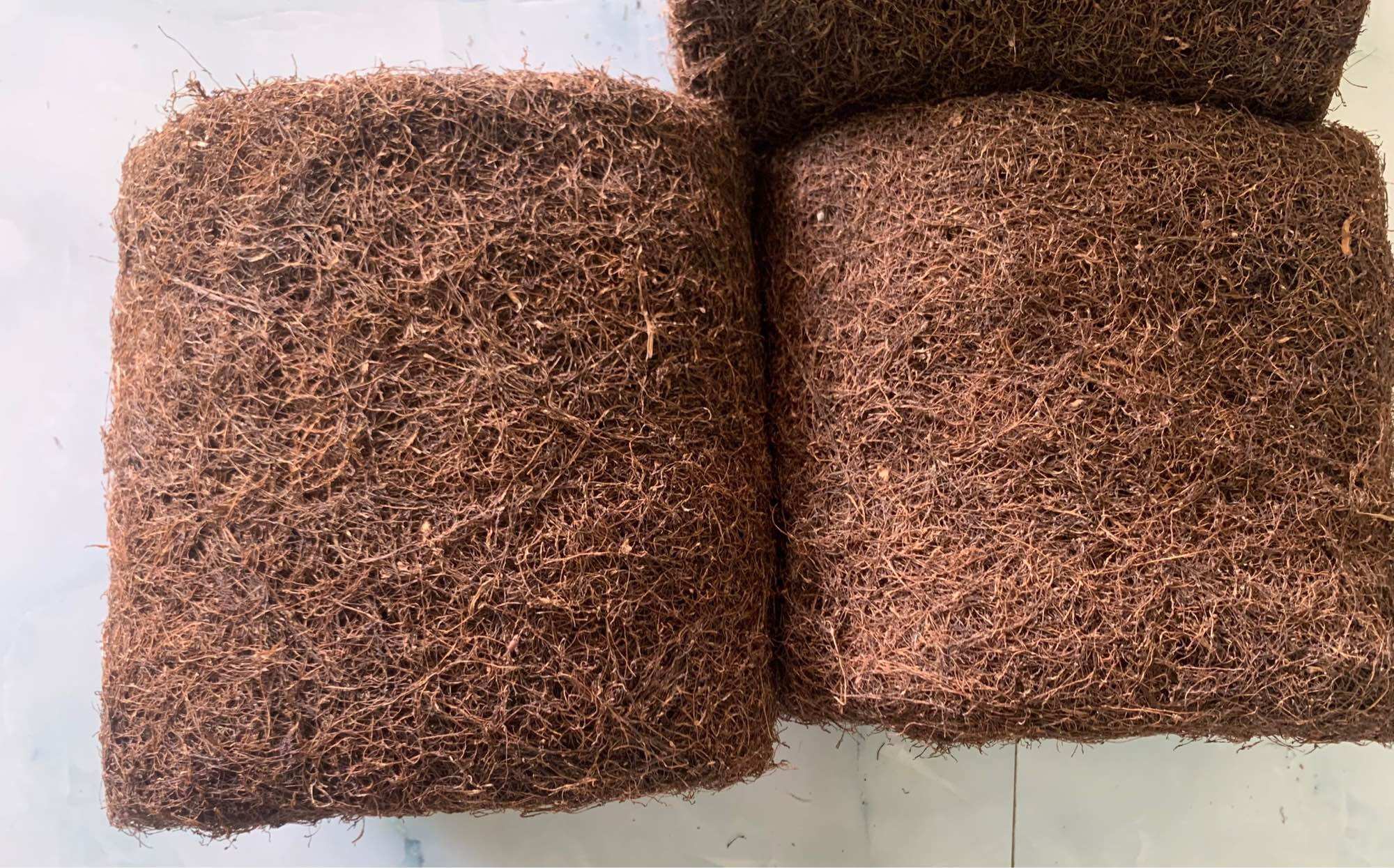 T Lào quảng xương Thanh Hoá loại ngon êm say 100g