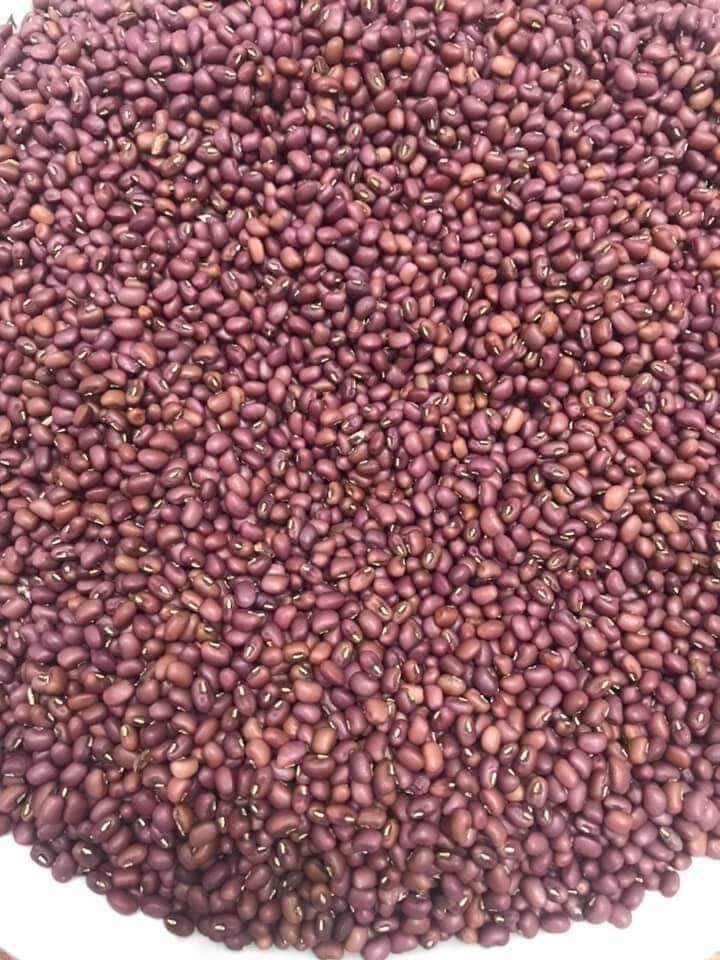 1kg đậu đỏ hạt nhỏ thuần chủng