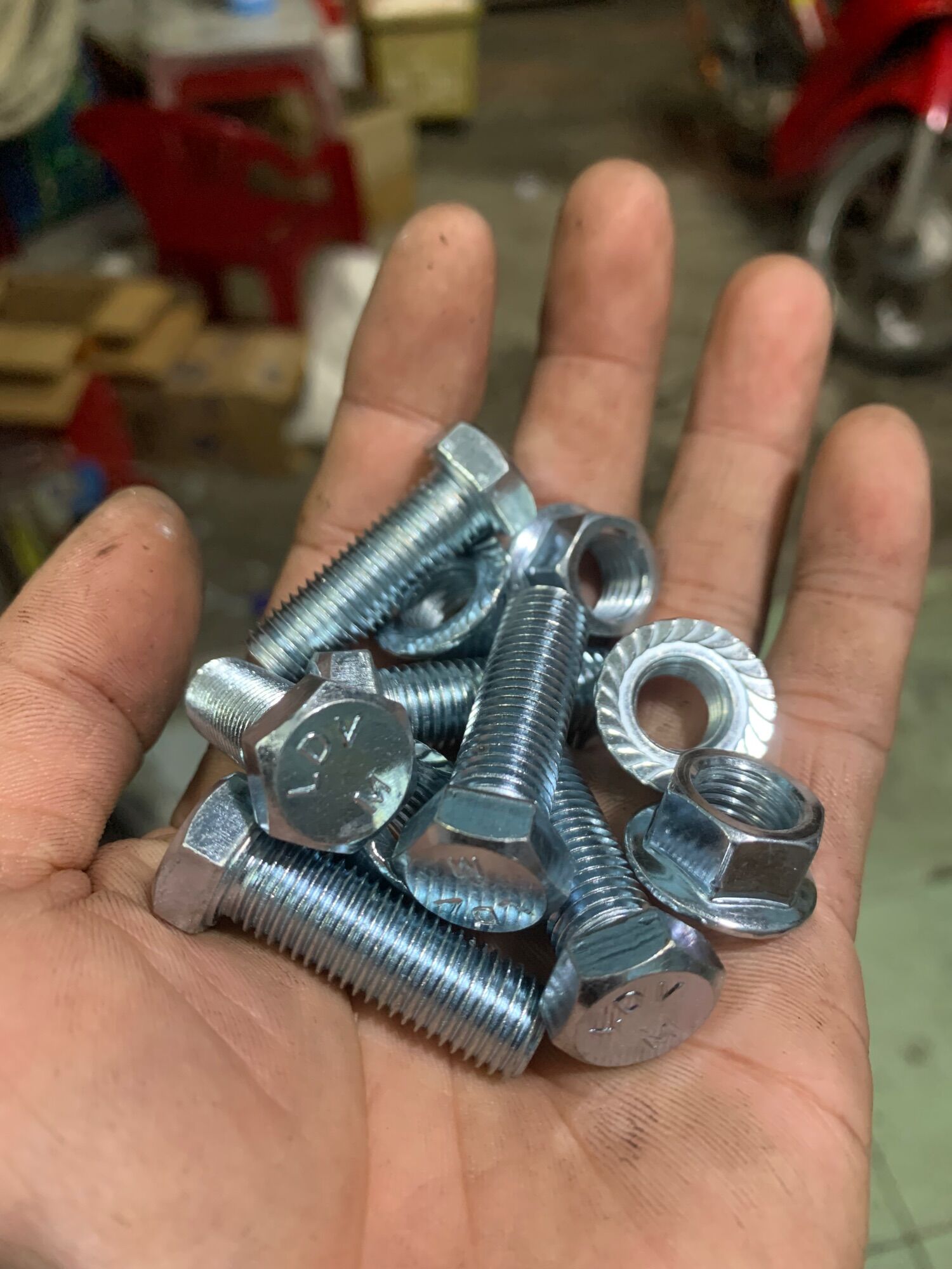 Ốc 10 ly 2 phân 3 phân (5 con)